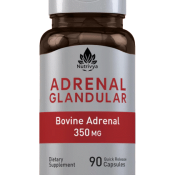 Adrenal Glandular (Bovine), 350 mg, 90 Quick Release Capsules